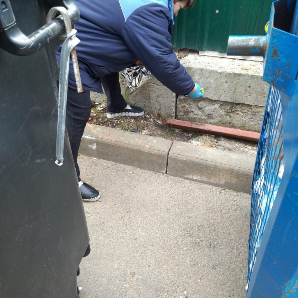 Дератизация