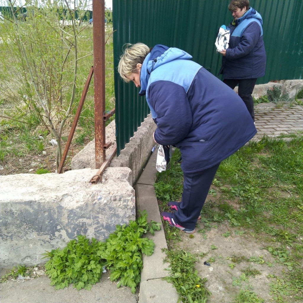 Дератизация