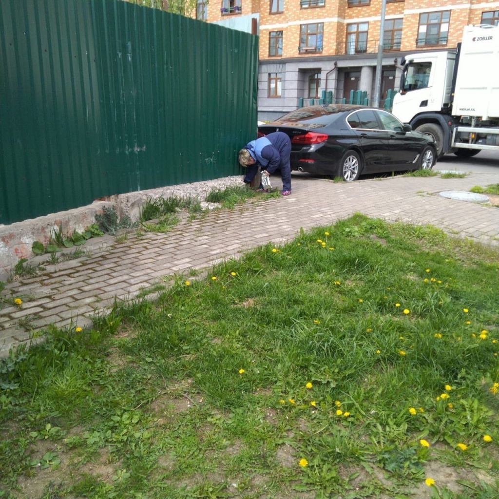 Дератизация